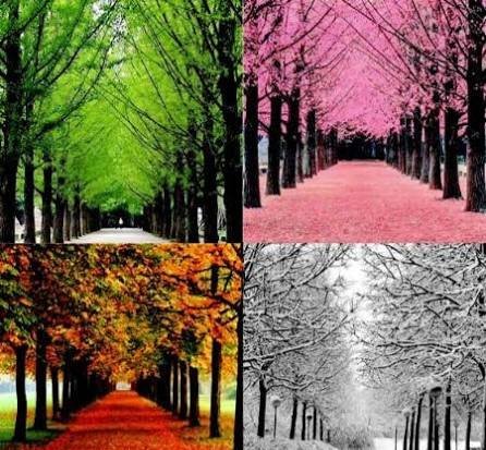  عکس چهار فصل نقاشی