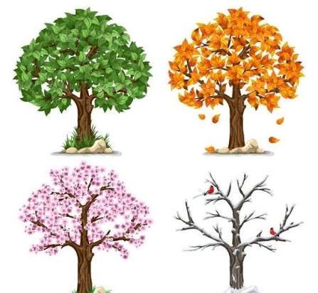  عکس چهار فصل نقاشی