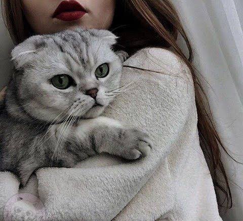  عکس پروفایل گربه کیوت و بامزه برای پروفایل دخترونه