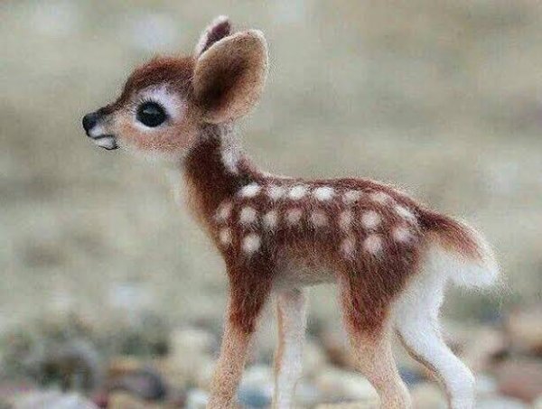  عکس آهو واقعی
