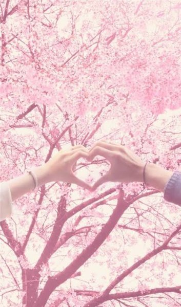  دانلود خوشگل ترین والپیپر عاشقانه برای آیفون و سامسونگ