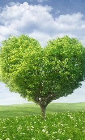  دانلود خوشگل ترین والپیپر عاشقانه برای آیفون و سامسونگ