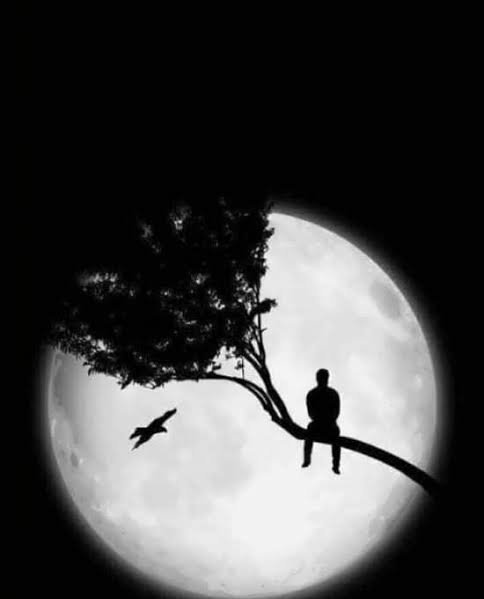  عکس جذاب شب مهتابی عاشقانه برای پروفایل