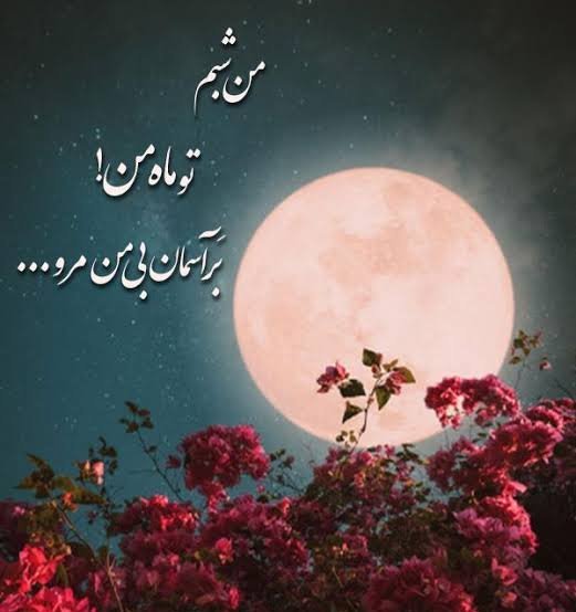  عکس جذاب شب مهتابی عاشقانه برای پروفایل