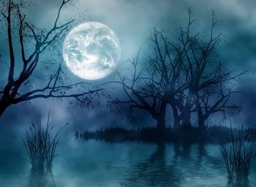  عکس جذاب شب مهتابی عاشقانه برای پروفایل