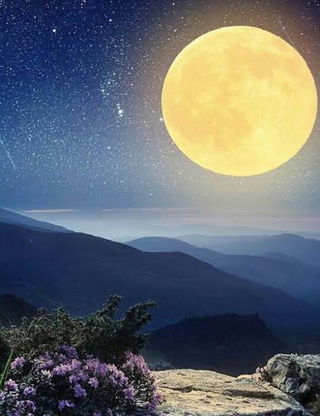  عکس جذاب شب مهتابی عاشقانه برای پروفایل