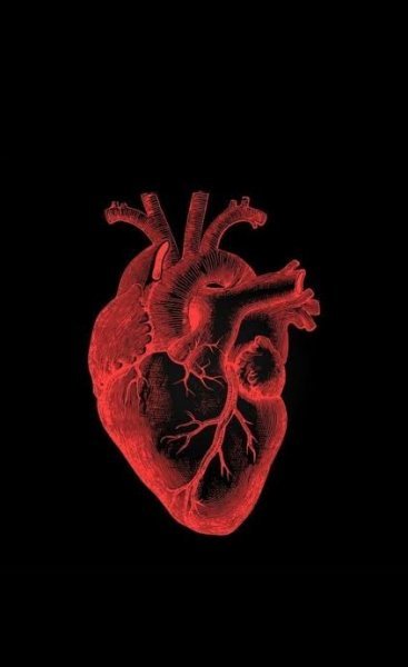  عکس قلب برای تصویر زمینه