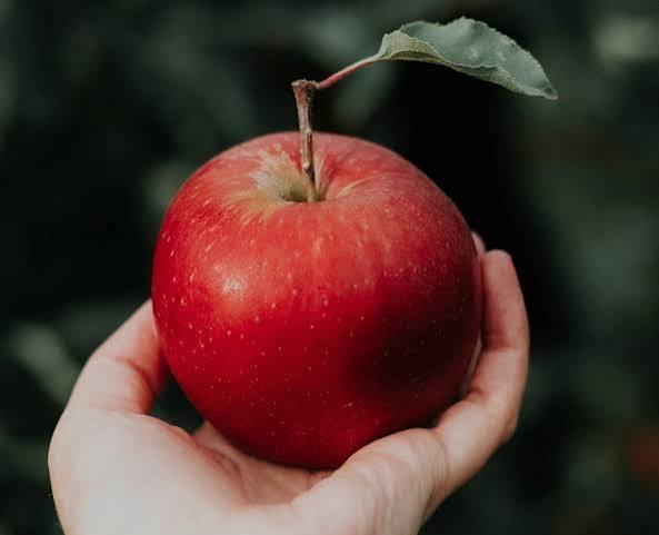  عکس سیب قرمز برای لاغری