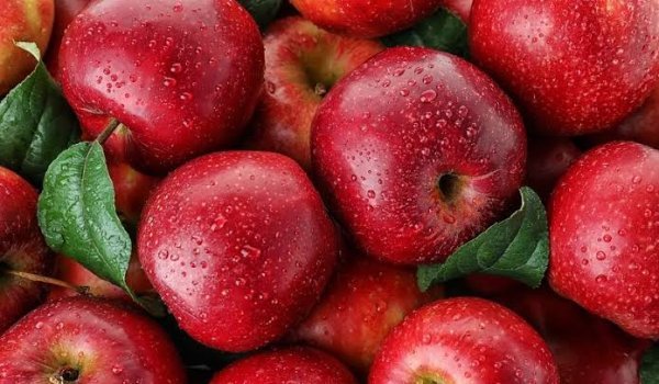  عکس سیب قرمز برای لاغری