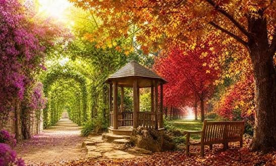  عکس طبیعت پاییزی با رنگ‌های گرم و جذاب
