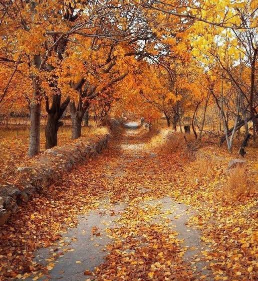  عکس پاییز با کیفیت با رنگ‌های بی‌نظیر
