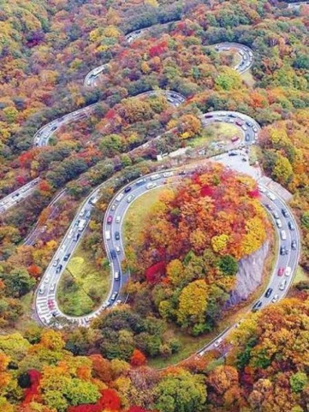  عکس پاییز با کیفیت با رنگ‌های بی‌نظیر