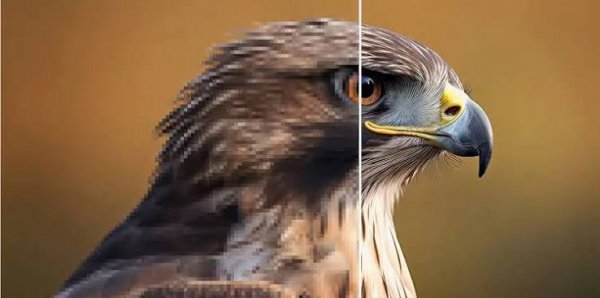  زیباترین تصویر عکاسی با کیفیت HD