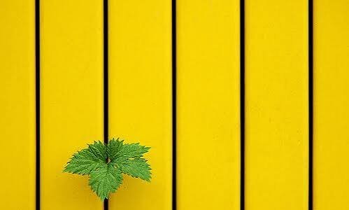 عکس عکاسی مینیمال با کیفیت بالا