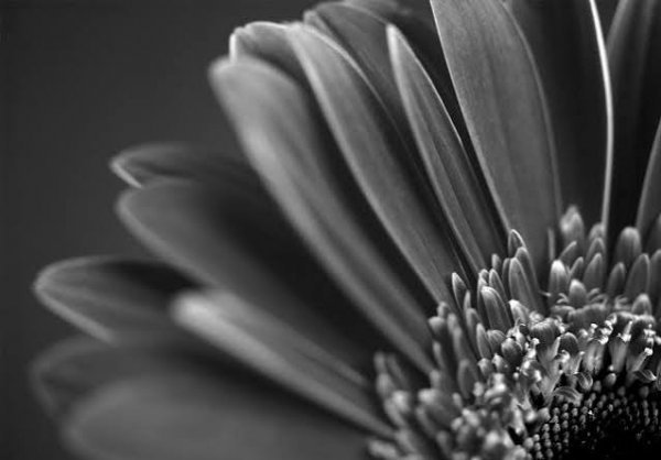  تصویر عکاسی خلاقانه با کیفیت HD برای پست
