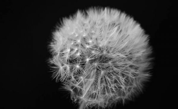  تصویر عکاسی خلاقانه با کیفیت HD برای پست