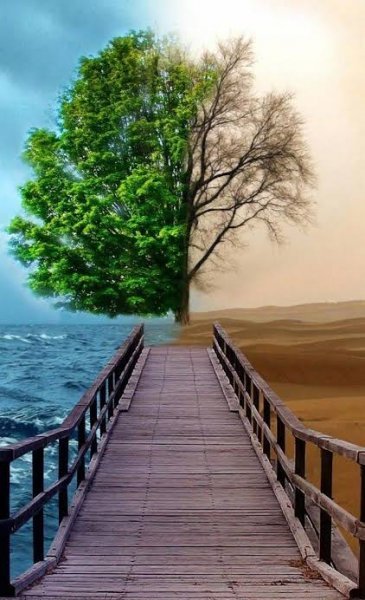  تصویر زمینه خلاقانه سامسونگ با کیفیت فول اچ دی