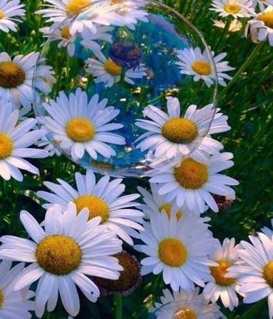  والپیپر سامسونگ با کیفیت فول اچ دی برای صفحه اصلی