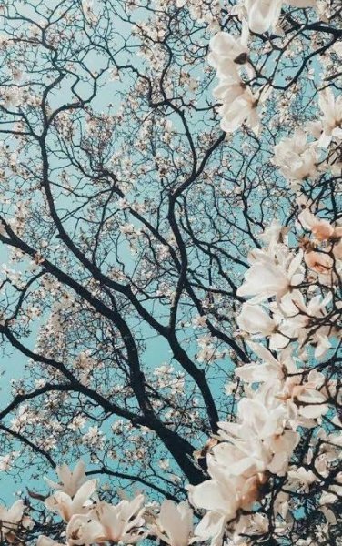  بکگراند سامسونگ با کیفیت فول اچ دی
