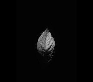  دانلود صفحه سیاه ساده