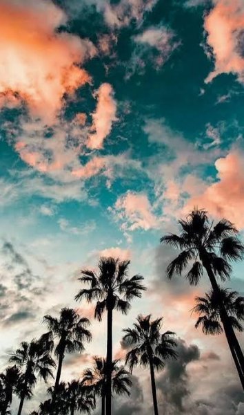  والپیپر جدید ایفون