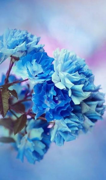  زیباترین تصویر زمینه موبایل با کیفیت 4K