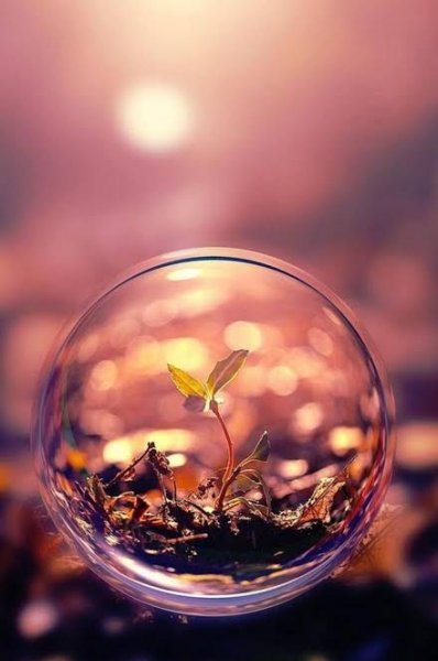  عکس پس زمینه باکلاس برای موبایل اندروید
