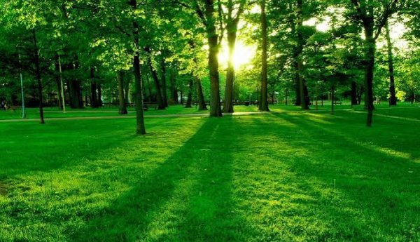  عکس والپیپر دیجیتال با کیفیت 4K