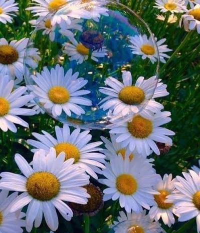  والپیپر موبایل با کیفیت فول اچ دی و جذاب