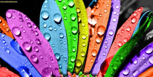  تصاویر والپیپر با کیفیت فوق العاده برای دسکتاپ
