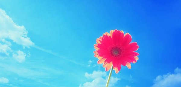 بک گراند دسکتاپ فول اچ دی