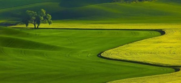  والپیپر دسکتاپ شیک با کیفیت اچ دی