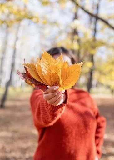  عکس برگ پاییزی واقعی