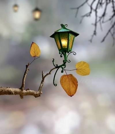 عکس فانوس برای پروفایل