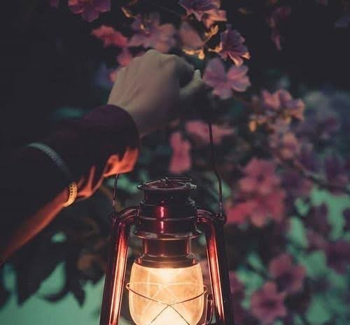  عکس فانوس برای پروفایل