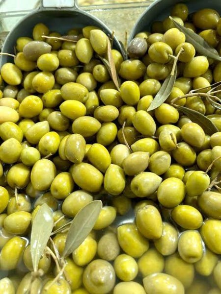  انواع زیتون با عکس