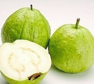  عکس زیتون محلی