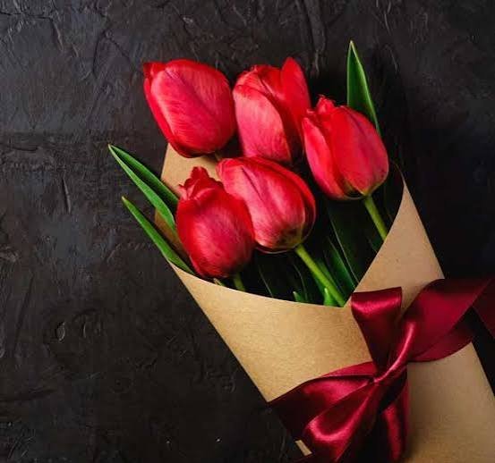  عکس زیبا از دسته گل لاله قرمز