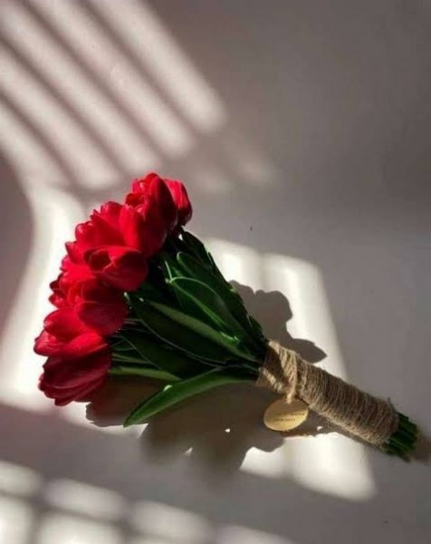  عکس زیبا از دسته گل لاله قرمز