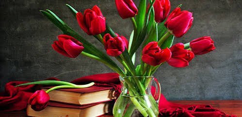  عکس زیبا از دسته گل لاله قرمز