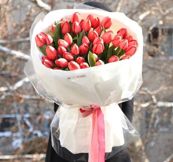  عکس زیبا از دسته گل لاله قرمز