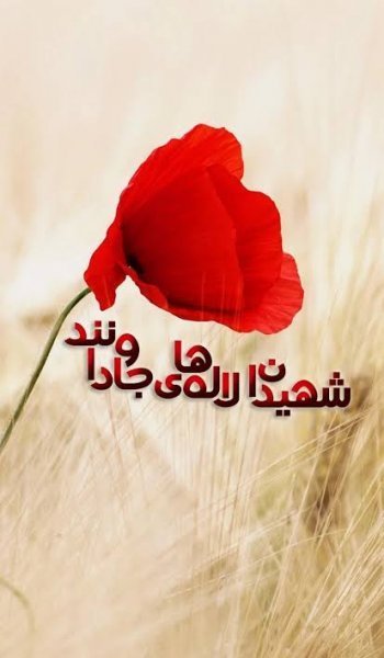  عکس گل لاله قرمز برای شهیدان