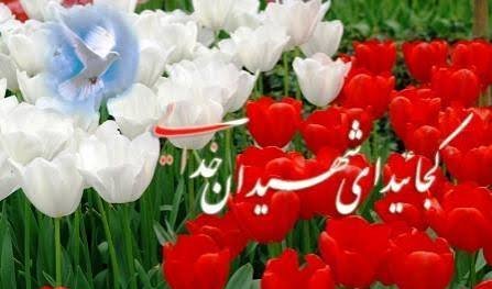  عکس گل لاله قرمز برای شهیدان