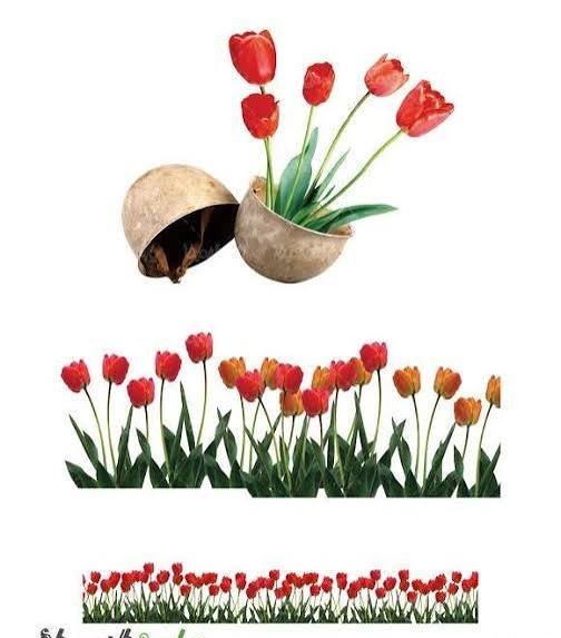  عکس گل لاله و پلاک شهید