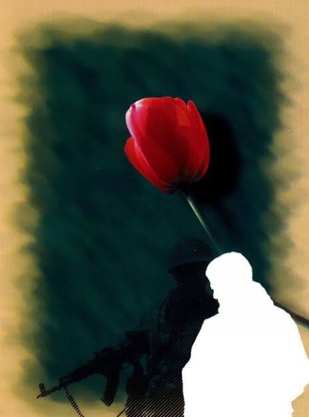  عکس گل لاله و پلاک شهید