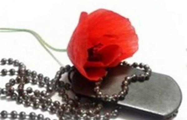 عکس گل برای شهیدان
