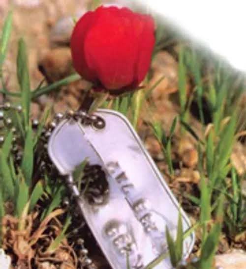  عکس گل برای شهیدان