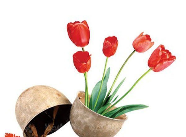  عکس گل برای شهیدان