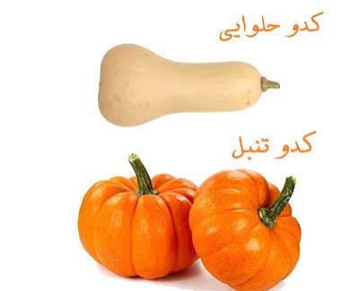  عکس کدو تنبل بزرگ