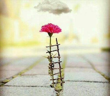  عکس مفهومی هنری برای پروفایل